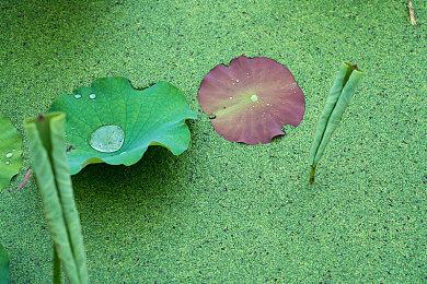 真人剧发布献礼《人中之龙》系列作品的三种游戏套装正式发售！现已推出超值优惠价格